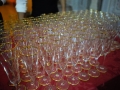 DSC01445_PerfectlyClear